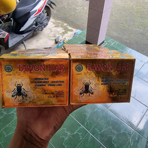 20 Box Tawon Liar Herbs Rheumatism Pain Relief & Gout Original 100% Indonesia - tawonliar.shop