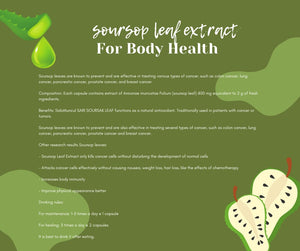 Soursop Leaf Extract Effective for Cancer Treatment | Tawon Liar Shop - tawonliar.shop